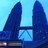 travel_tours1's profile image