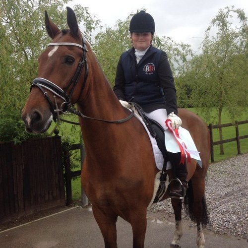 ClaireHardy16's profile picture. Pleasant Rise Stables, Alfriston, East Sussex BN26 5TN             01323 871050 / 07412365038