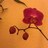 esthermartt's profile image