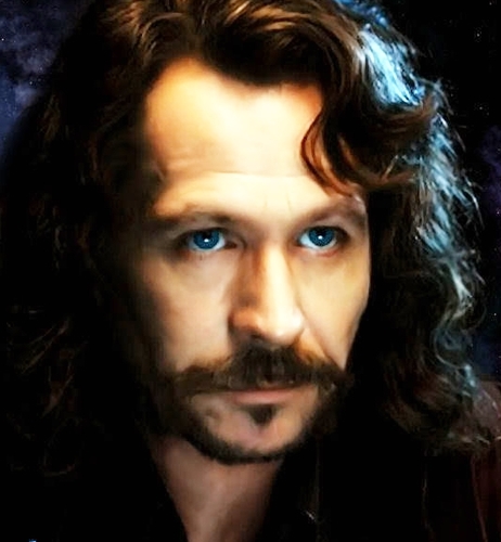 Descendiente de los Black. Padrino de Harry Potter. Miembro de la Orden del Fénix. Grimmauld Place 12. Creador del Mapa del merodeador. Canuto. Animago. :)