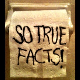 _SoTrueFacts_'s profile picture. If you dont know the fax then your stupid and dumb sew no the facts you fucking pile of shit. (Not you Mom)