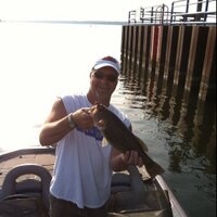 Mark Scherphorn (@mscherphorn) 's Twitter Profile