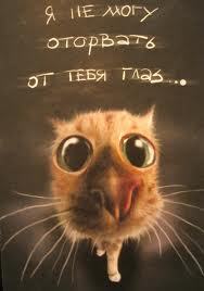 MARAT_OLL's profile picture. 