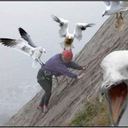 Michael Lawry - @4kdip - Twitter