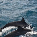 Vicki Wright - @ChiVicki - Twitter