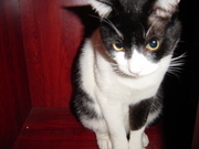 yui_snowdrop's profile picture. サガン鳥栖カラーのTIME乗り。
家建てたのでこれから健康の為に運動量を増やす予定
サガン鳥栖U18原口幸之助くんを個人的に応援してる