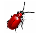 Meet Susie Confusie, the manic depressive bug with arthropodic attitude! She loves her insectually curious followers! When will her buggy dreams come true?