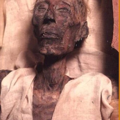 ahmadabullo11's profile picture. Arrivals - القادمون http://t.co/n5kBEZCwgA