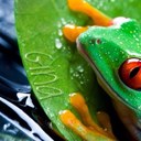 Gina Kern - @g56a - Twitter