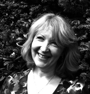 mediator, collaborative lawyer and trainer -all within the field of  family law.