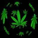 Dwayne Marsh - @MarshDwayne65 - Twitter