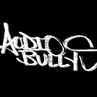 Audio Bullys (@audiobullys) 's Twitter Profile