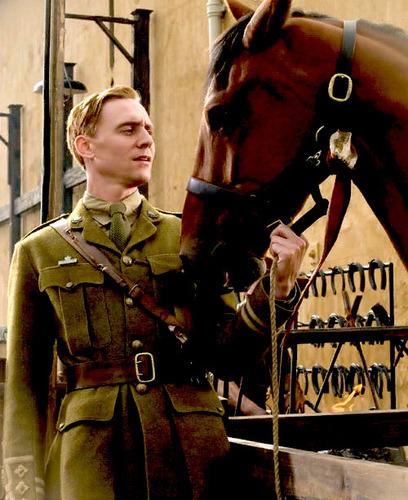 Captain Nicholls of the British Calvary. (RP account)