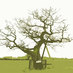 Wymondham Words (@wymondhamwords) Twitter profile photo Wymondham Words (@wymondhamwords) Twitter profile photo