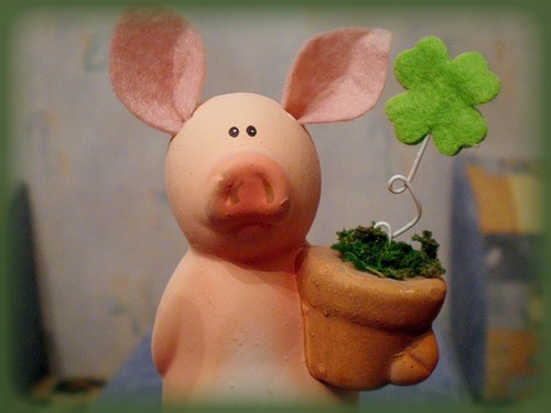 SviN067's profile picture. 