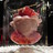 hotziefoodlife's profile image