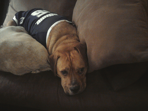 Jared_BSD's profile picture. Managing Editor of @BSDtweet. Ohio-bred Penn State fanatic. Everlasting optimist.