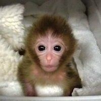 toddeaton (@toddeaton) 's Twitter Profile