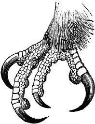 hayabusa_claw's profile picture. #HayabusaClawingService
Keep it Real.

能ある鷹は爪を隠す
A skilled hawk hides its talons.


#C4FM #247 #Clockers.

WE R MOST #HIGH.