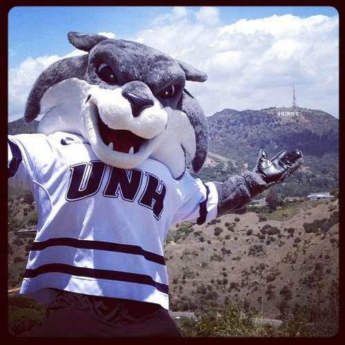 The Official Twitter profile of the Big 'Cat at @UofNH representing the @UNHWildcats and the #CatPack