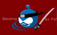 This is the San Diego Drupal User's Group. We meet monthly, and also run a yearly SANDcamp conference. (Get it? SANDiego.camp?)
