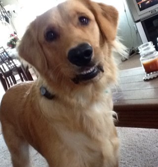 barbara_mears's profile picture. 