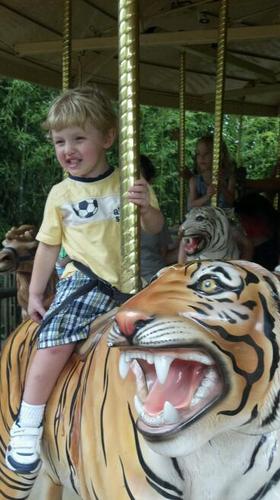 jcampbellohlsd's profile picture. 