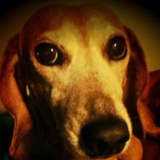 esteroali's profile picture. 