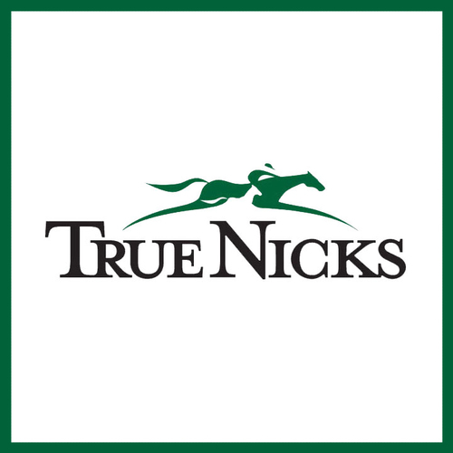 TrueNicks's profile picture. Thoroughbred pedigree nicking, data, and analysis for racehorse breeders and stallion owners