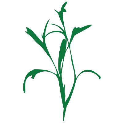 HickoryStreet's profile picture. Hickory Street is located in the heart of downtown Austin and offers fresh, local fare served on downtown's best patio.