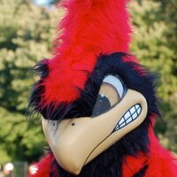 CardinalsTDclub (@cardinalstdclub) 's Twitter Profile Photo CardinalsTDclub (@cardinalstdclub) 's Twitter Profile Photo
