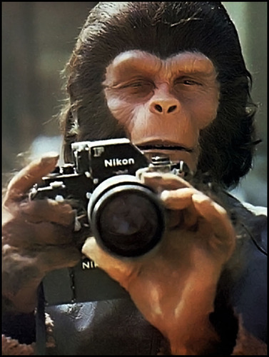 Filmmaker, dançarino cósmico, amigo dos animais, Type O-