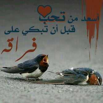 ‏أجمع من الدنيا ما شئت   سوفى تخرج منها كما جئت