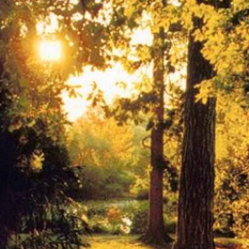 SadBrownEyes_'s profile picture. 18 female, depression & ED. Feelin alone in the world