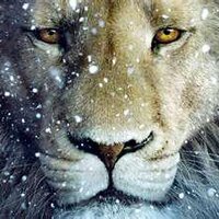 Kevin Ames (@mroverfiend777) 's Twitter Profile