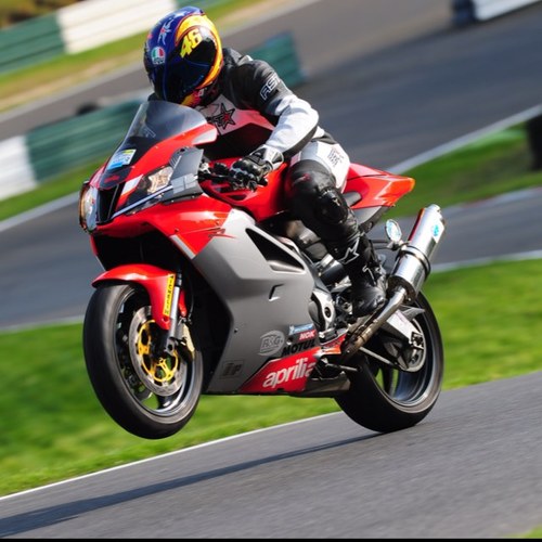 LBucknalls's profile picture. 