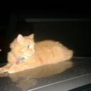 Paz Leon - @PazLeon6 - Twitter