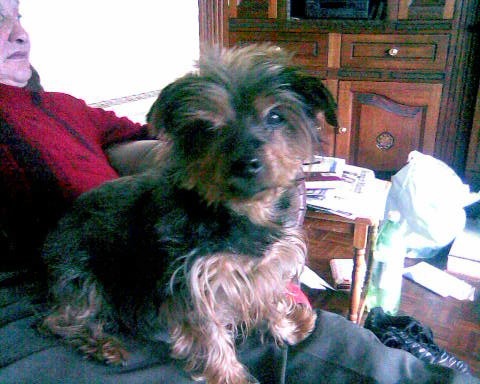 MaireadKavanag1's profile picture. Animal https://t.co/GztBnhhaxG.Springsteen fan.Enjoy Hurling&Rugby sports.Enjoy messing on the computer. Careful approach to life. Respectful of people but quick tempered.