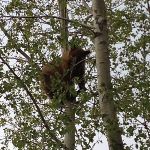 NatWaldner's profile picture. You know me.