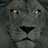 TonyJordan23's profile image
