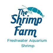 Offering top-quality Aquarium Shrimp at very affordable prices - along with tips and advice on their care.