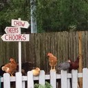 Ann Boehm - @annboehm - Twitter