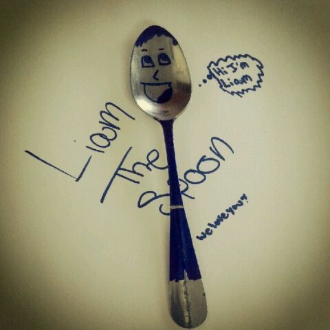 I'm a spoon. Jealous? @Real_Liam_Payne is my idol. Hate him or OneDirection? Fuck off Bitch. I'm real and I'm famous. Hate me? Good,hope you do.