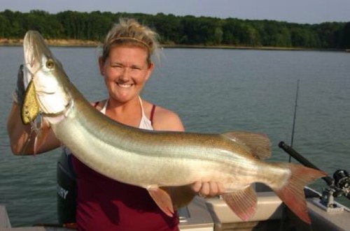 parozgold's profile picture. 