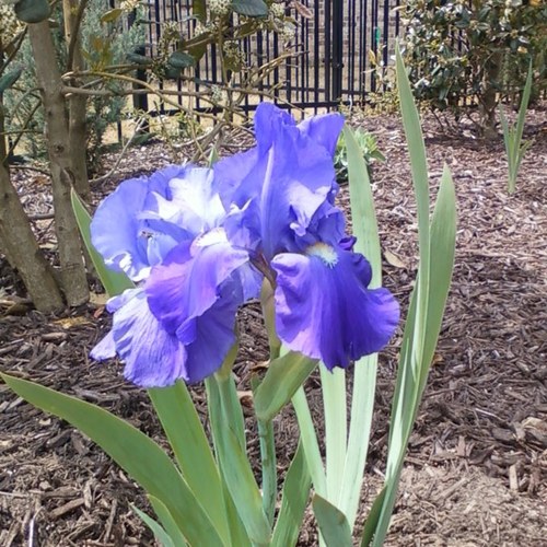 sarahvanvleck's profile picture. 