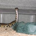 Thomas Derr - @tomrderr - Twitter