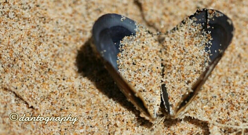 LaunchXL's profile picture. It's about life, the here, now and whenever. I don't know why I'm here but should any of us?