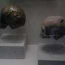 gorge ramon catalan  - @GorgeRamon - Twitter