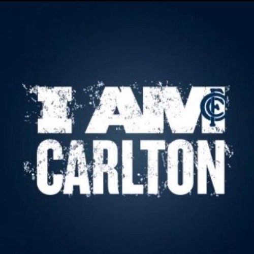 Shellyjars24's profile picture. 