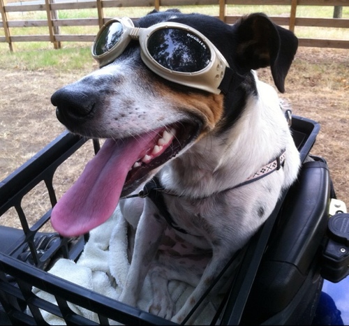 Tinks599's profile picture. Humanist, heretic